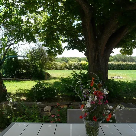 Typical Provencal Mas With Pool, A Little Corner Of Paradise With View Of Sainte Victoire, Close To Aix En Provence, Sleeps 10. 别墅 沃内勒